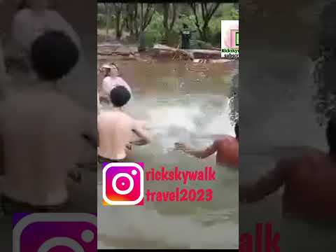 Elephants love to play with girls in water Pattaya ❤️ #travel #pattaya #Thailand