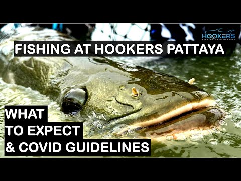Fishing at Hookers Pattaya, Thailand: What to Expect