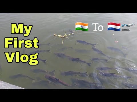 My First Vlog Thailand Fishing In Pattaya Beach Bangkok Nightlife | Pattaya Girls India To Thailand