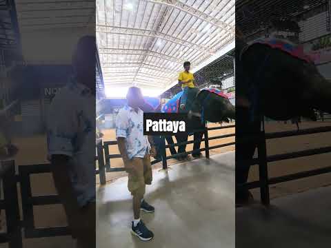 Pattaya #pattaya #thailand #shortsyoutube #shortsfeed